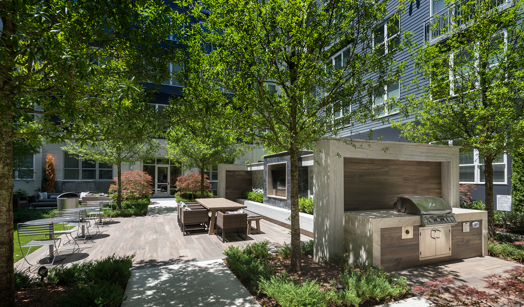 Outdoor grilling and dining